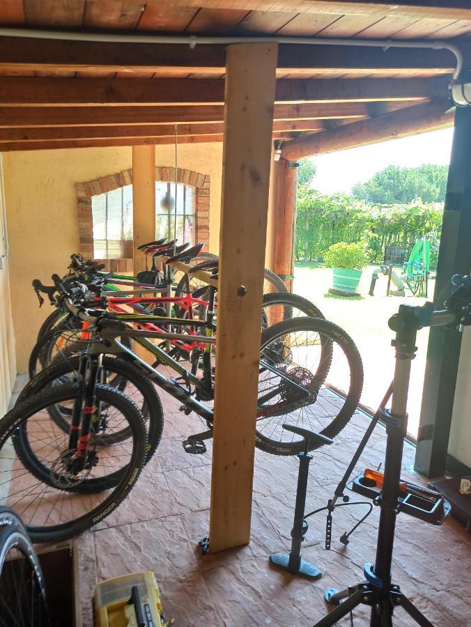 Le Zampolle B & B Colà Exteriör bild