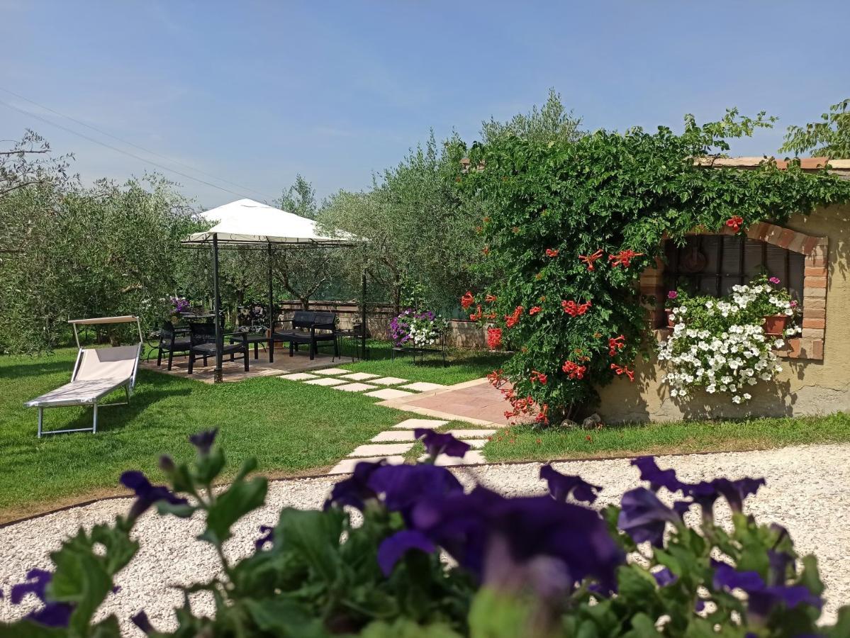 Le Zampolle B & B Colà Exteriör bild